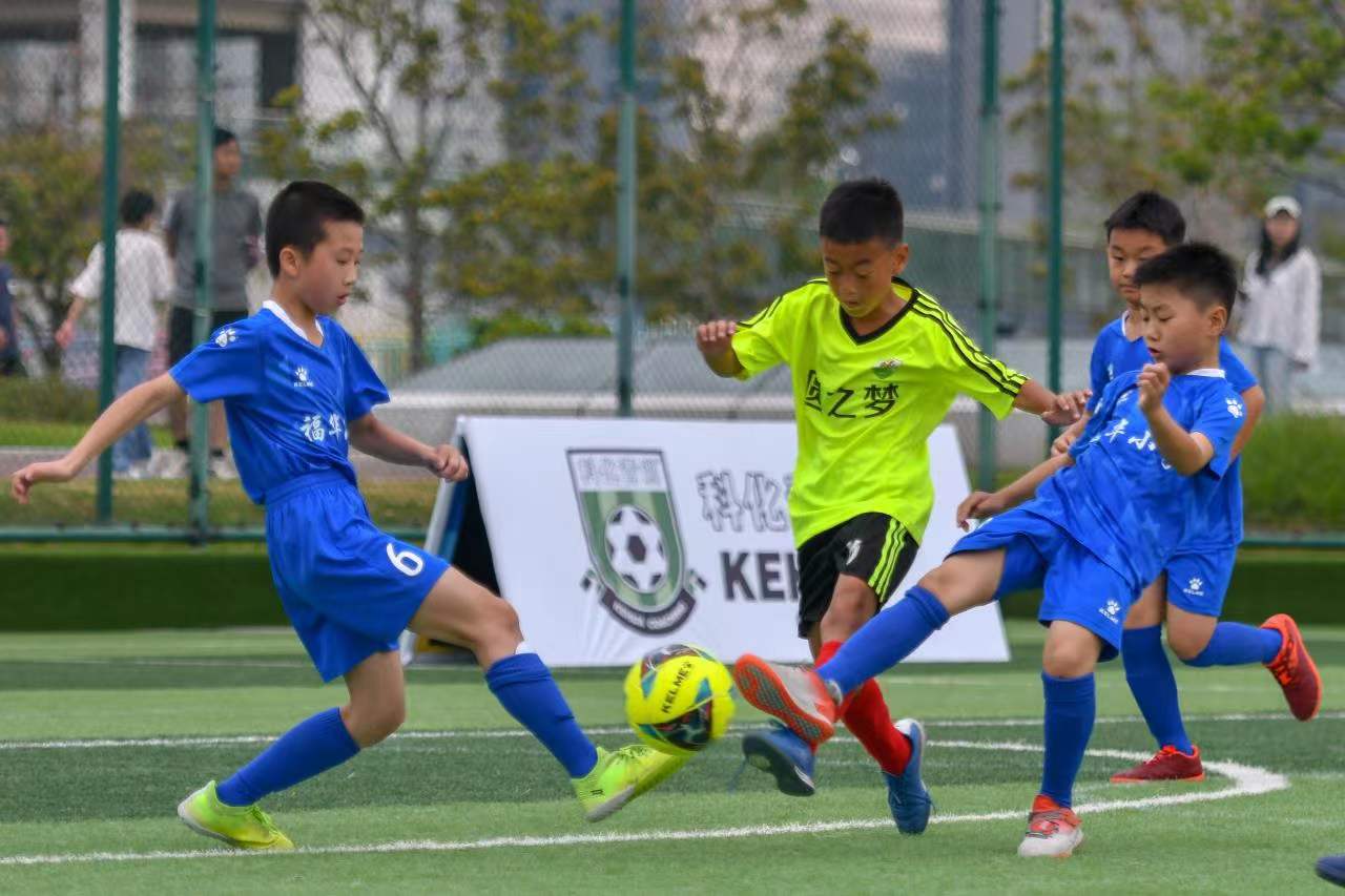 球队管理层 球队管理层